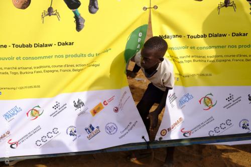 Djarama-festival-380