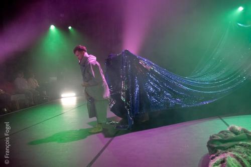 SÄLSKAP (SEAL KIN) - Sindri Runudde (Sw)